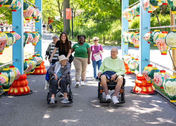 Group of senior residents, some in wheelchairs, enjoy a vibrant outdoor outing with colorful lanterns, accompanied by smiling caregivers on a sunny day in a scenic park.